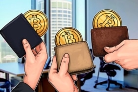 Bitcoin balina adresleri son 20 ayın zirvesinde!