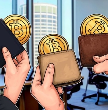 Bitcoin balina adresleri son 20 ayın zirvesinde!