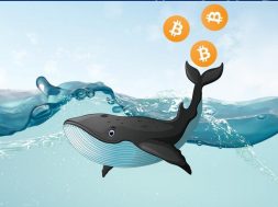 bitcoin-fiyati-balinalari-koinmedya-com