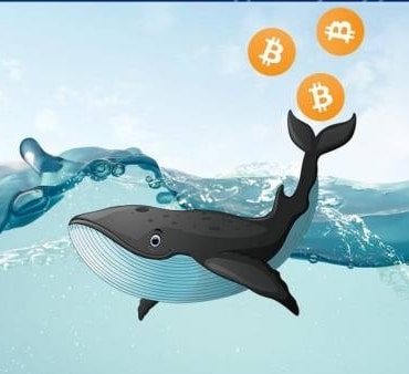 Bitcoin fiyatında yükselişi destekleyen önemli metrik!