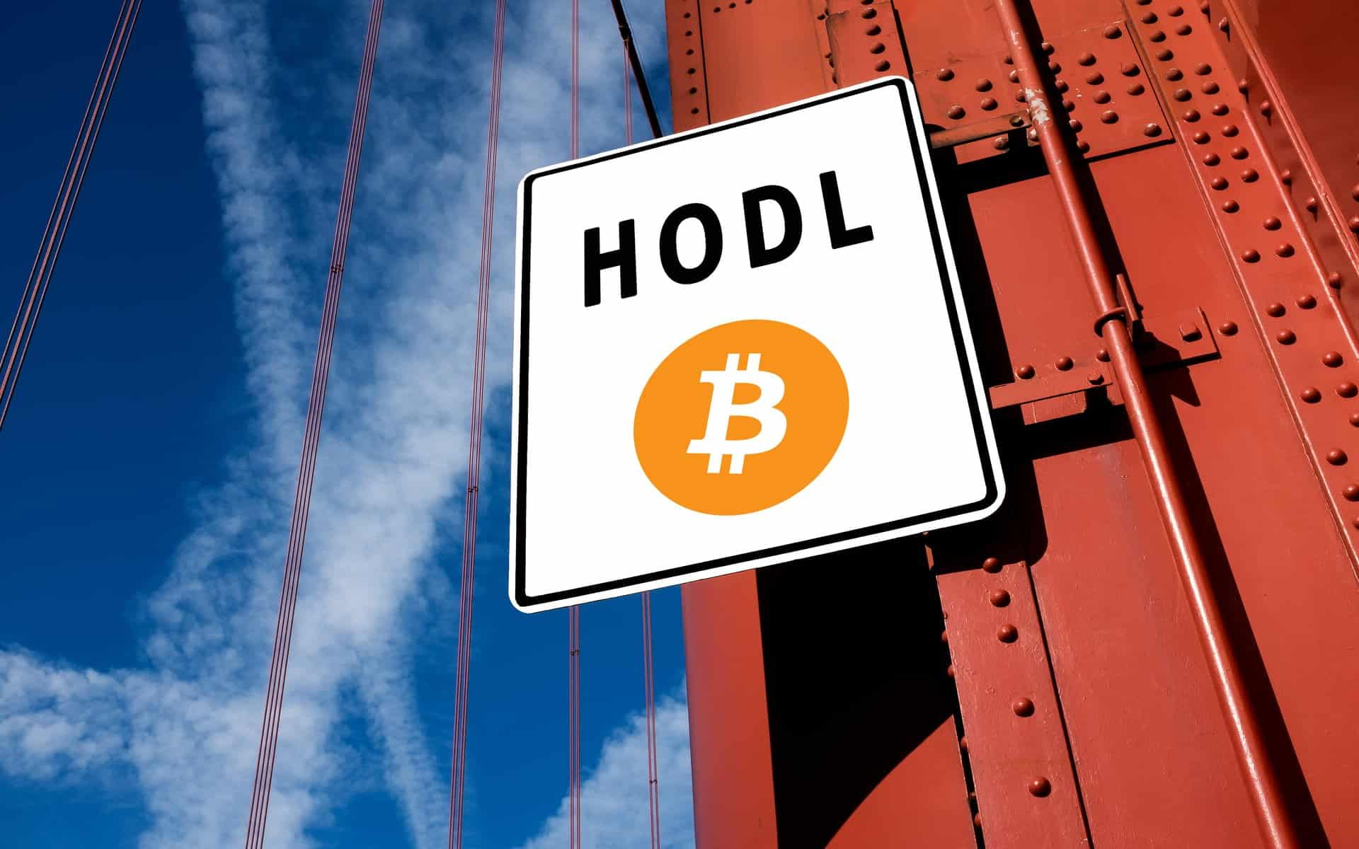Bitcoin Hodl vs. Trade: Hangisi daha karlı?