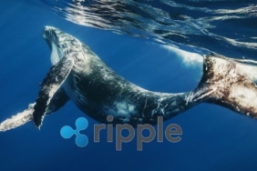 xrp-balinalari-haber-koinmedya-com