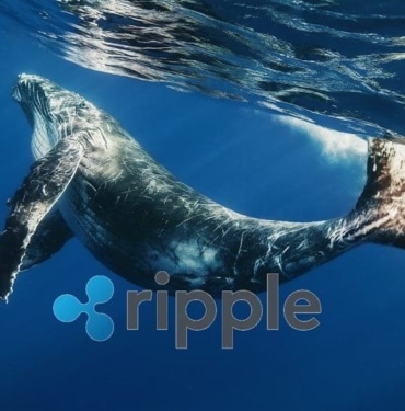 xrp-balinalari-haber-koinmedya-com