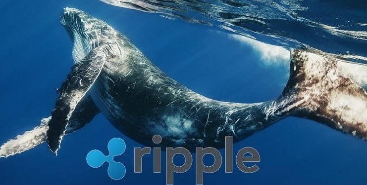 xrp-balinalari-haber-koinmedya-com