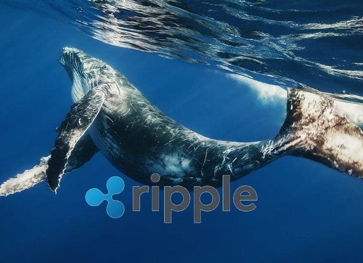 Ünlü bir kripto para analiz firmasına göre, dev XRP balinaları alelacele akümülasyona başladı. Peki balinaları harekete geçiren şey neydi?