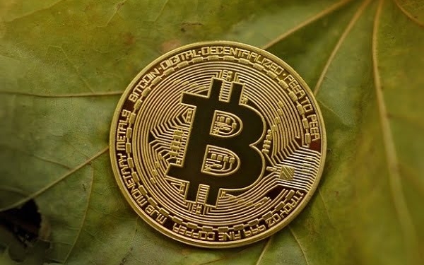 kripto para