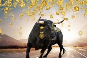 bitcoin-bga-bull