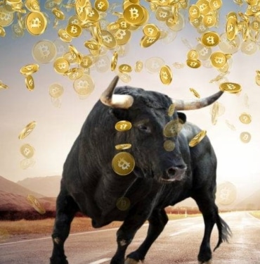 bitcoin-bga-bull