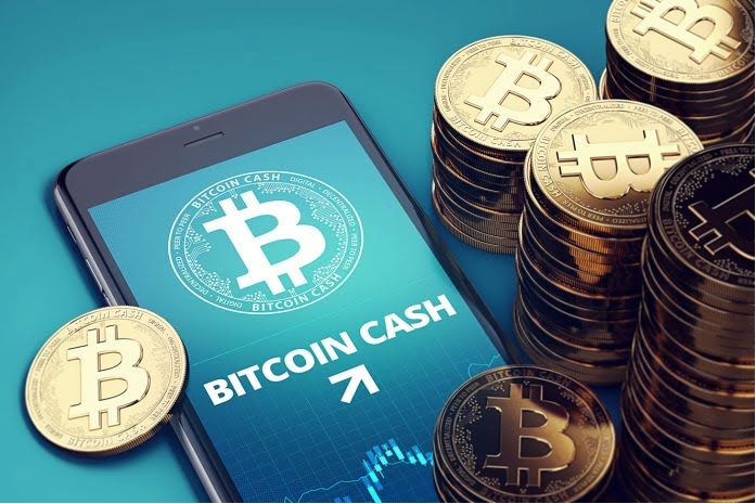Bitcoin Cash BCH coin