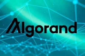 algorand algo