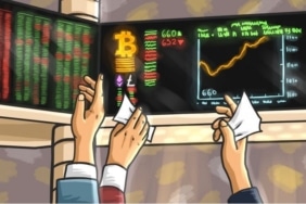 profesyonel yatırımcılar