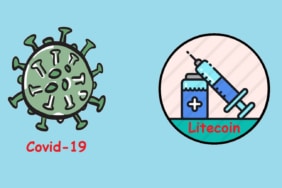 litecoin yorum