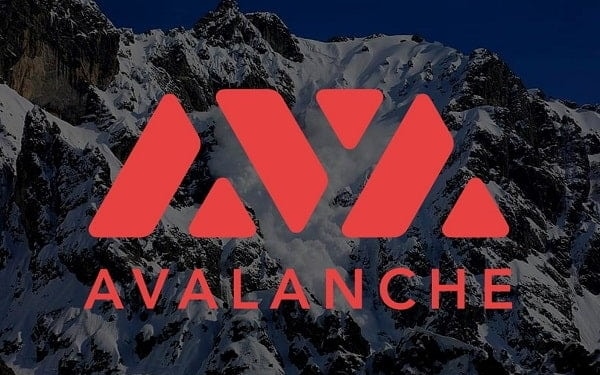 Avalanche blockchain