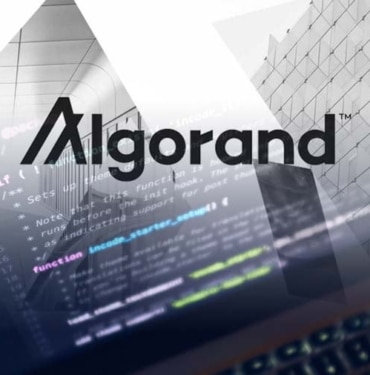 algorand