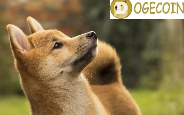 Dogecoin fiyatında heyecan veren kırılma! Büyük ralli yakın mı?