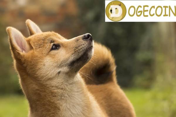 Bu iki analiste göre Dogecoin (DOGE) büyük bir patlamaya hazırlanıyor!