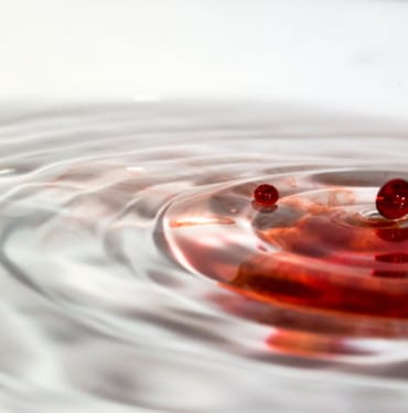 ripplea-darbe-koinmedya-com