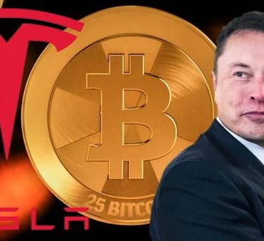 İşte büyük Bitcoin çöküşü hakkında en makul yorumlar!