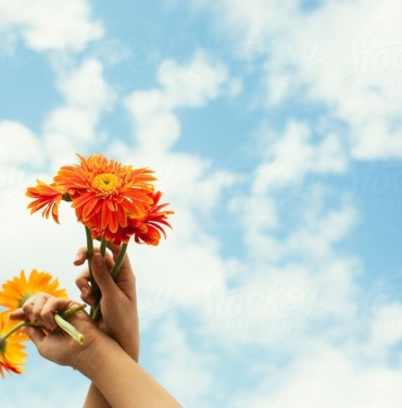 bitcoin-borsalari-koinmedya-com