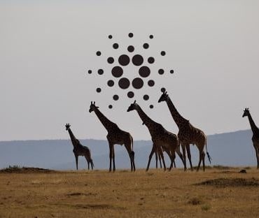 cardano