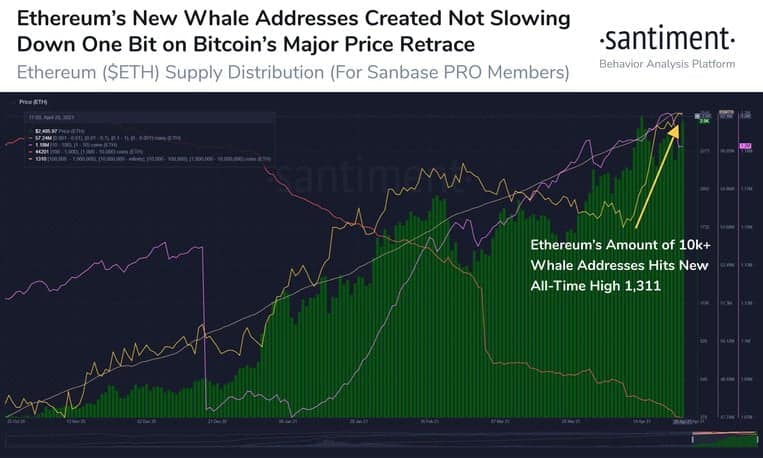 Balinalar Nisan’da da Bitcoin, Ethereum ve Ripple biriktirmeye devam etti