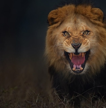 weiss-crypto-ratings-ethereum-koinmedya-com