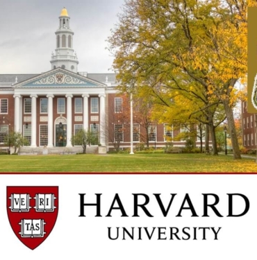 bitcoin üniversite harvard koinmedya
