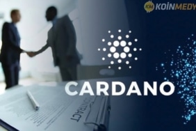 cardano 5 yıllık plan