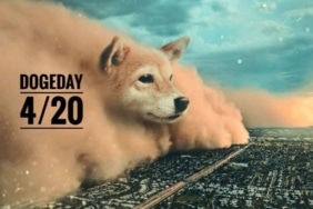 dogeday koinmedya