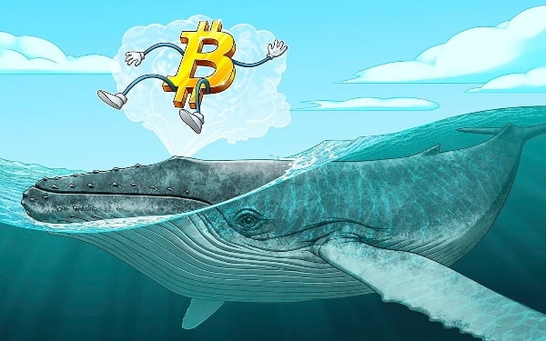 neden-bitcoin-koinmedya-com