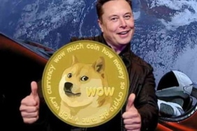 Dogecoin pump yaptı! Sırada Shiba Inu mu var?