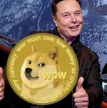 Dogecoin pump yaptı! Sırada Shiba Inu mu var?