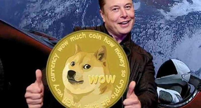 Dogecoin pump yaptı! Sırada Shiba Inu mu var?