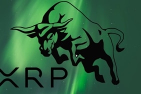 ripple xrp koinmedya