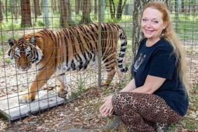 Dogecoin başardı! CAT coin başarılı olur mu?