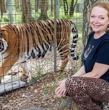 Dogecoin başardı! CAT coin başarılı olur mu?