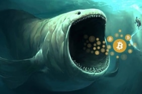 Uzun vadeli Bitcoin yatırımcıları ilk sinyali verdi!