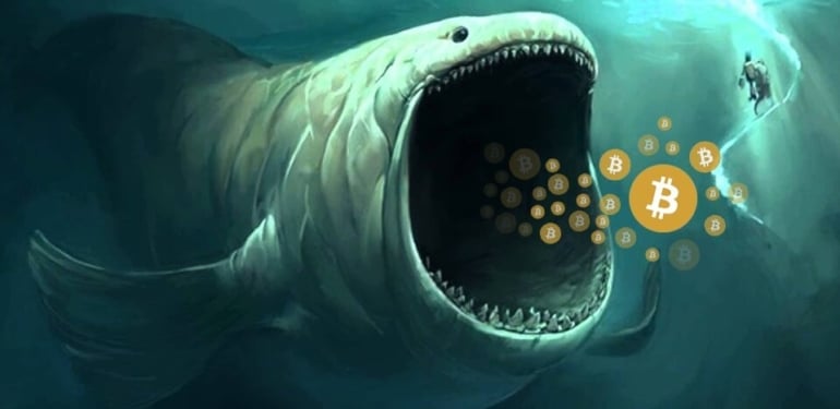 Uzun vadeli Bitcoin yatırımcıları ilk sinyali verdi!