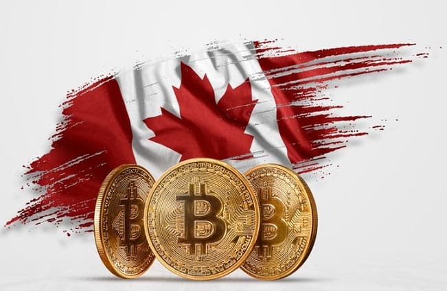 Ayı piyasası mı dediniz? Bir de Kanadalıların aldığı Bitcoin’e bakın!!
