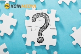 Cardano hakkında ciddi eleştiriler!