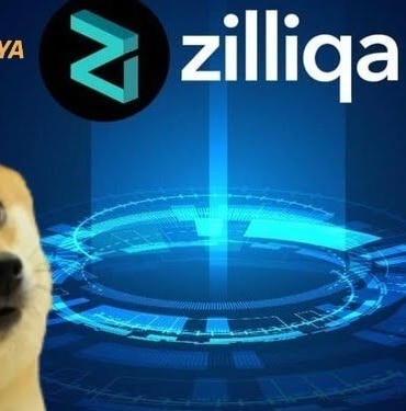 zilliqa ve doge