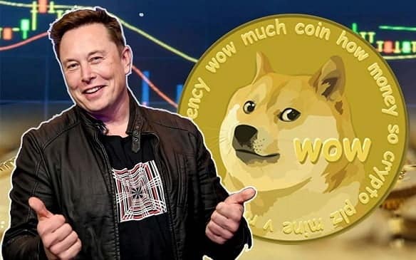 Elon Musk Doge coine müdahale etti