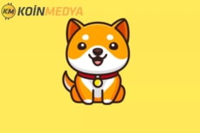 babydogecoin