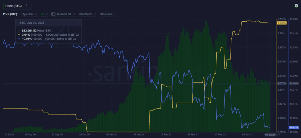 bitcoin balinaları Bitcoin balinalarının sayısındaki önemli değişiklik Bitcoin’de yükseliş sinyali mi?