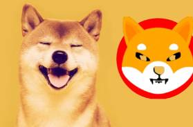 doge-ralli-shib-shiba-dogecoin-koinmedya-com