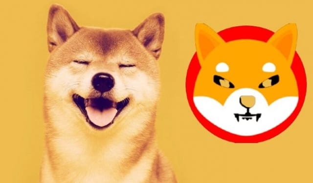 Dogecoin rallisini bilen analistten patlama yapacak yeni coin!