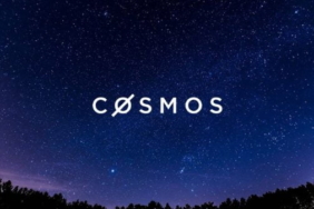 cosmos