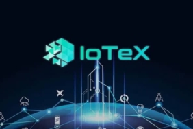 IoTeX IOTX coin nedir? IOTX/USD yorum, geleceği ve haberler