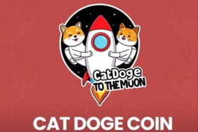 Cat Doge Coin (CATDOGE) nedir?