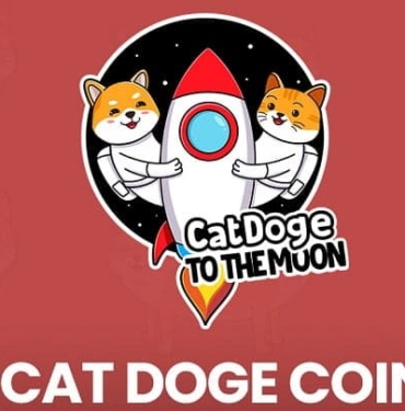 Cat Doge Coin (CATDOGE) nedir?